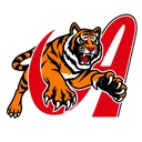Tigres de Aragua